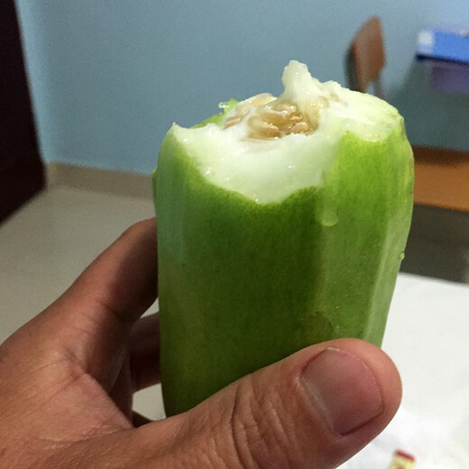 Zhongke Maohua Fruit and Vegetable Seeds Maohua Eight-Edge Crispy Vegetable Melon Seeds Edgeless Green Vegetable Melon Seeds Low sugar type Crisp and juicy Fresh cantaloupe can be eaten cold Early maturity and high yield Fragrant crispy treasure 10g/bag