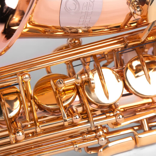 
Jinbao Saxophone JBAS-1010 mid-E flat saxophone rating performance Western wind instruments