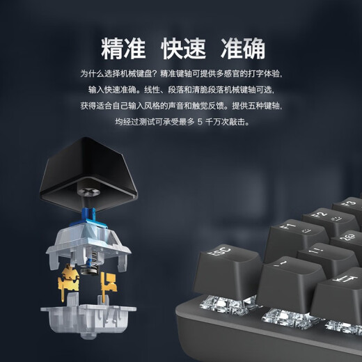 罗技 K835+G102二代有线电竞游戏键盘鼠标套装 84键TTC轴机械键盘宏编程游戏鼠标套装 K835白色青轴蓝色妖姬+G102紫色