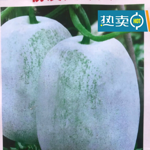 One melon per section, winter melon seeds, hairy section melon, small winter melon, stable yield for all seasons in spring, potted vegetable seeds, 20 pieces, pink-skinned winter melon