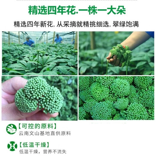 福美柒三七花头茬新花 云南三七花茶 精选四年花 特级文山三七花茶250克 田七花泡茶的功效500克 精选当季新三七花【250克】