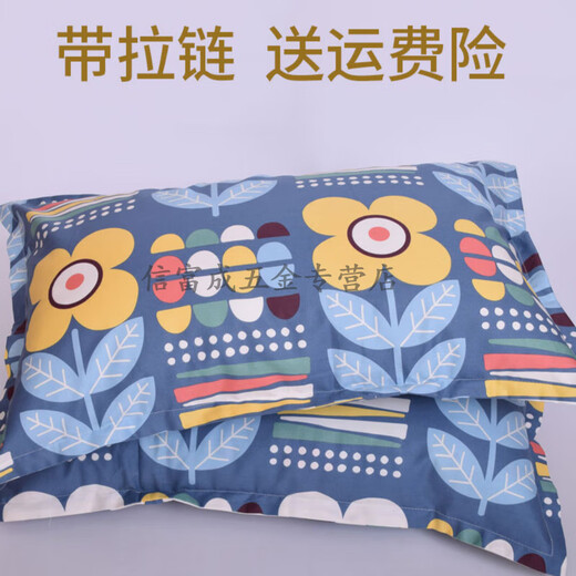 依潋眸纯棉枕套一对装40x60儿童小号30×50大号50x80cm学生宿舍枕头套子 白色金 枕芯套一对 40cmX60cm