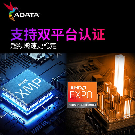 ADATA XPG Longyao D300G DDR5 desktop memory Hynix Adie particle ddr5 memory C28 timing desktop upgrade game overclocking 9800X3D dedicated C30/Mdie 6000 16G*2 white