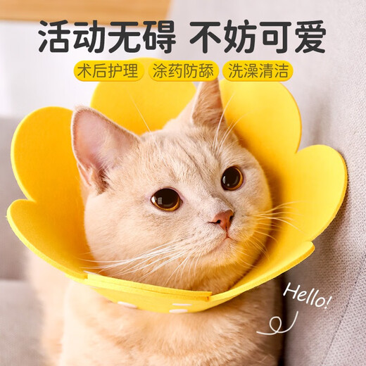 Qi Oh Cat Collar Elizabeth Collar Cat Soft Collar Dog Elizabeth Anti-Scratch, Anti-Bite, Anti-Lick Headgear Neutering Supplies Yellow - Breathable and Skin-Friendly M Suitable for 5-9 Jin Jin equals 0.5 kg