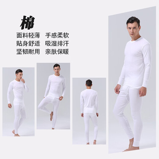 百富（BYFORD）男士秋衣秋裤全棉专柜款针织保暖内衣套装长袖打底男红MW8826\846  MW8826+MW8937-套装-白色-薄款 XL