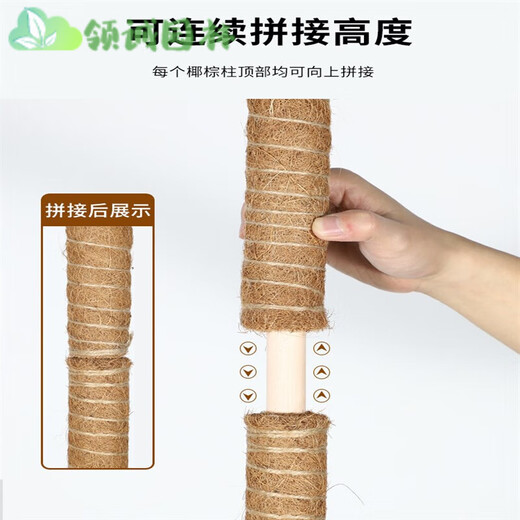 
Monstera support pole green basket climbing column coconut palm stick green ivy fixing frame plant climbing flower frame palm column coconut shredded 100cm long coconut palm column * 1 + strap