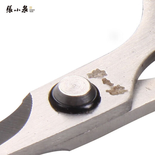 Zhang Xiaoquan stainless steel scissors office student craft activities office handmade multi-purpose grape fruit and vegetable scissors SS-125 140mm medium size
