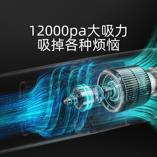 Nervous cat pet hair extractor electric cat hair cleaner cat and dog hair vacuum cleaner hair removal adsorption bed carpet short handle hair extractor (black) + 2 original filters