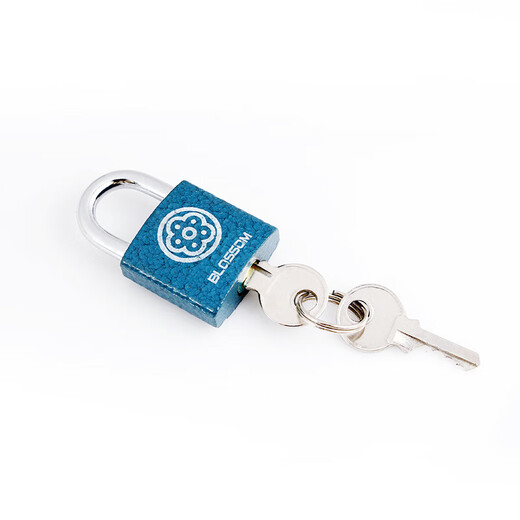 Plum Blossom (BLOSSOM) drawer lock padlock tool box indoor small lock student dormitory cabinet door lock meter box lock BC2925 blue 25MM