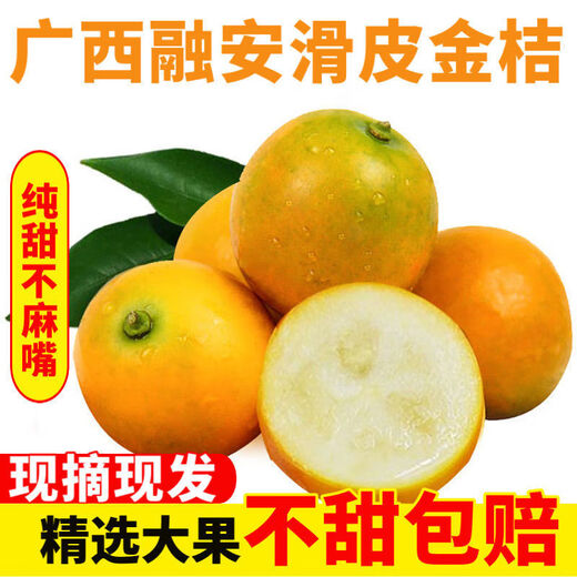 Spicy Youth Kumquat VC Guangxi Smooth Skin Kumquat Seedless Seasonal Fruit Crispy Kumquat Green and Yellow Skin Sweet and Not Numbing Net Weight 5Jin Jin is equal to 0.5kg