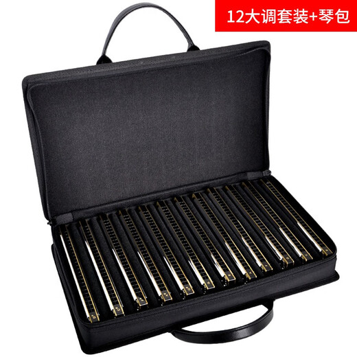Tombo Japan Tombo 6624s 24-Loch-Polyphonic Mundhoniconica Performance Anfänger Kinder und ältere Profi 6624s Originalharzmesser Performance Modell C# / db Melodie