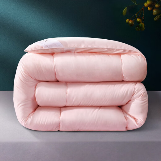 Fu'anna Home Textiles Quilt autumn and winter quilt core Student dormitory single quilt warm spring and autumn quilt core Four seasons quilt (pink) 152*210cm