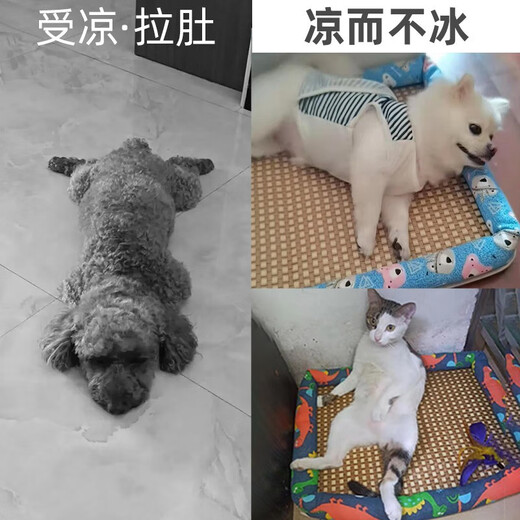 Tianjin dialed jade-carved cat kennel mattress small dog pet cat sleeping mattress summer mattress Teddy medium and large dog mattress cactus (L size)