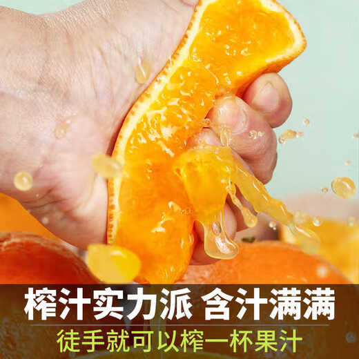 
Uncle Sam Sichuan Ehime No. 38 Jelly Orange Seasonal Fruit Citrus Rock Sugar Orange Orange Ugly Orange Gift Box New Year's Gift [Sweet-Tribute Fruit] 20-Year-Old Tree | Single Fruit 75-80mm 5Jin [Jin equals 0.5kg] Gift Box [Gift Recommendation] Net 4.5Jin [Jin equals 0.5kg]