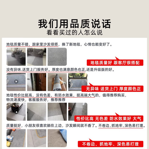 迦图鲮德国品质床边毯地毯客厅2025新款轻奢感防水卧室免洗可擦简约沙发 15839 200*300cm 【防水加厚款】