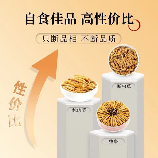 西那藏曲大断草虫草冬虫夏草断草高海拔虫草干货断草自用实惠装 西藏那曲精品大断草5克