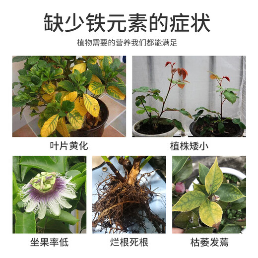 Devo ferrous sulfate 500g added iron citrate fertilizer to prevent yellow leaves and flower cultivation fertilizer plant potted succulent universal type