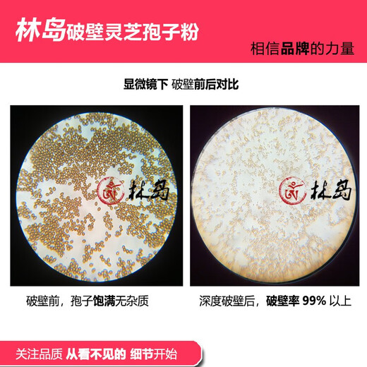 
Lindao Blue Hat Jian Font Lindao Brand Broken Wall Ganoderma Lucidum Spore Powder Changbai Shantou Dao Powder Triterpene 20.8 Two packs 500g