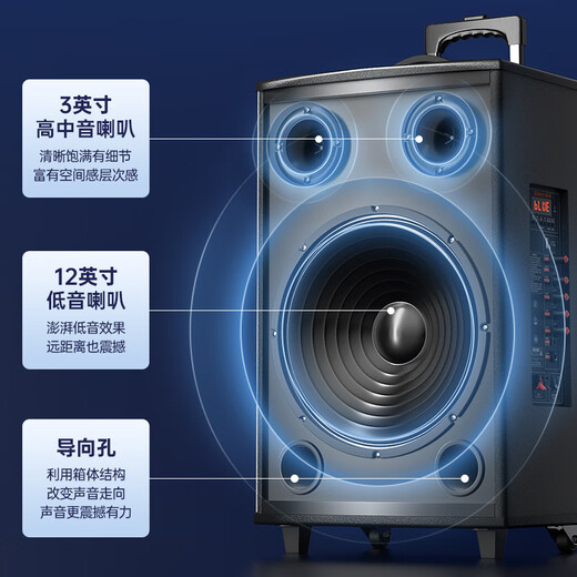 Xinke T30 square dance audio outdoor Bluetooth speaker subwoofer high volume home karaoke portable mobile amplifier street stall large speaker 12-inch single microphone