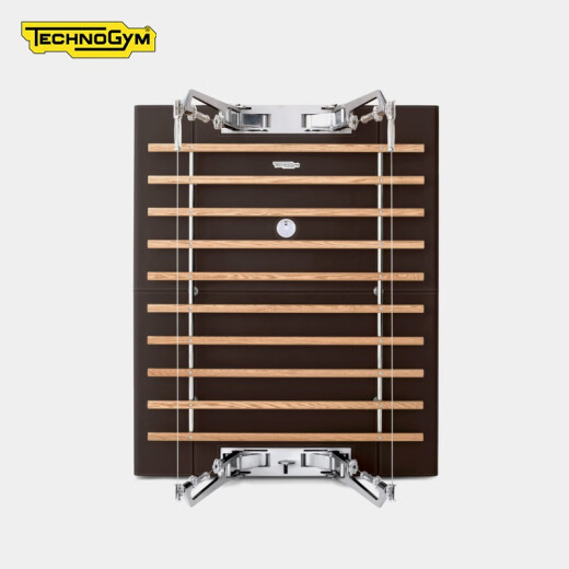 Technogym imported integrated trainer KINESIS PERSONAL mirror Vision

