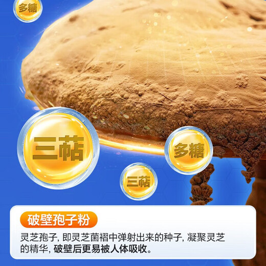 Pékin Tongrentang Break Wall Ganoderma Lucidum Spore Powder Capsules Food Recover