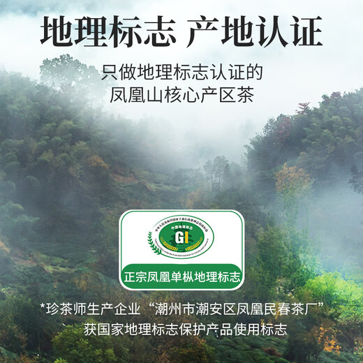 
Tea Master Oolong Tea Phoenix Single-Song Duck Shit Fragrance Special Level 500g Canned Chaozhou Single-Song Tea