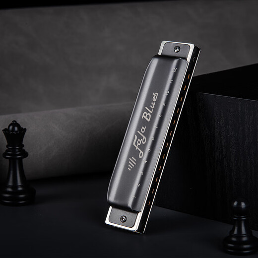 East Top Easttop Blues 12 trous Fala Blues Harmonica Gray F1201