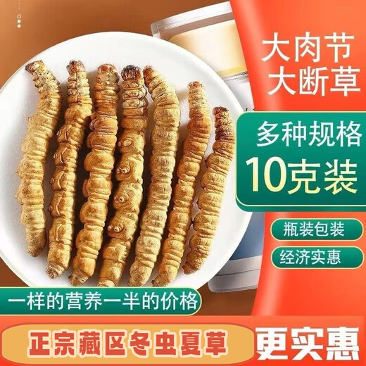 Cordyceps sinensis gebrochenes Gras hohe Höhe feine Cordyceps sinensis cordyceps sinensis cordyceps cordyceps nahrhaft und gesundheitsfördernd. Kaufen Sie immer mehr. Ganzi Big Broken Gras 10 Gramm Pack (1 Gramm kostenlos 11 Gramm)