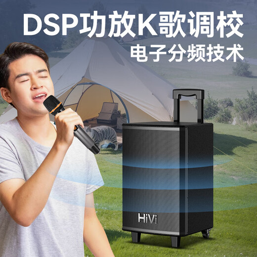 惠威（HiVi）户外广场舞K歌音响 12吋唱歌大功率拉杆移动音箱 麦克风功放一体机乐器演出低音炮双麦蓝牙 MA12