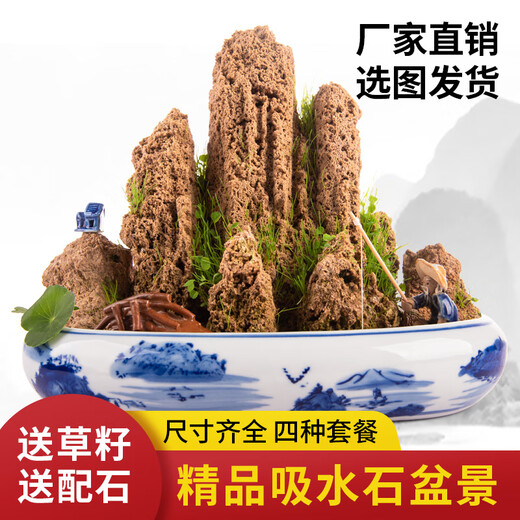 Landscape green sculpture natural water-absorbent stone bonsai customized water-absorbing rockery stone micro-landscape decoration stone ornamental 2 pieces of 10-15cm wool + mixed grass seeds