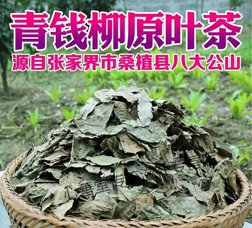 有仁堂青钱柳茶 百年古树青钱柳养生茶成叶茶 金钱柳 成叶青钱柳500克