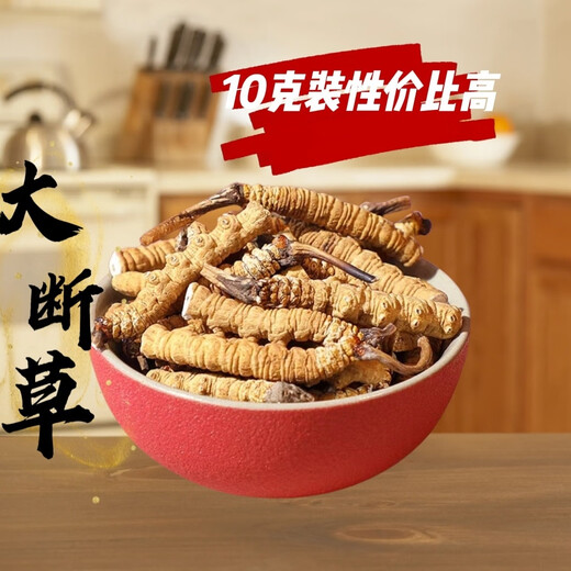 藏区冬虫夏草雪山天然冬虫夏草大断虫草自食大断草实惠煲汤干嚼 虫草大断草20克（发22克装)