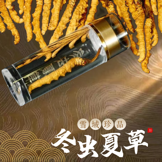 
Nagqu Cordyceps Cordyceps Cordyceps Tibetan Nagqu Cordyceps 2 gram dry goods Cordyceps gift gifts 50 gift boxes 50 gift boxes,