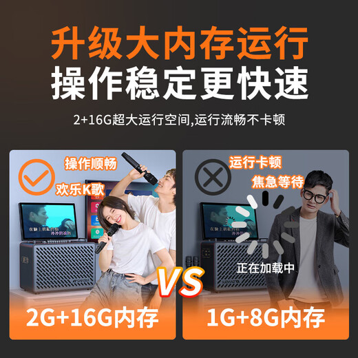 Shanshui C10 Amplifier Audio All-in-One 2025 New Home KTV Lautsprecher Set Outdoor Audio Karaoke Special Karaoke Equipment High Power Square Dance Audio mit Display Shanshui C10 Flaggschiffversion
