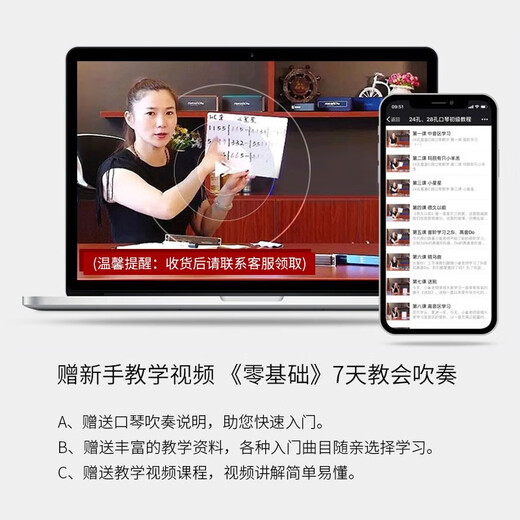 国光德国进口音簧国光重音口琴复音初学者高端成人专业演奏级高级送礼 28孔 蓝色复音C调 专业演奏级