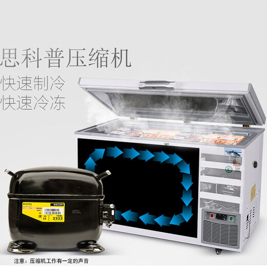 智星（智星（ZX）超低温零下65度冰柜金枪鱼海鲜商用大容量家用冰箱生物细菌干冰保存工业冷柜 695(长1950*宽880*高940)不锈钢