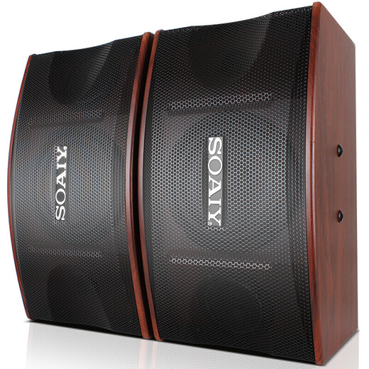 Sony Ericsson (soaiy) home KTV audio set conference audio KTV amplifier machine karaoke machine all-in-one stage audio 6.5 inch set