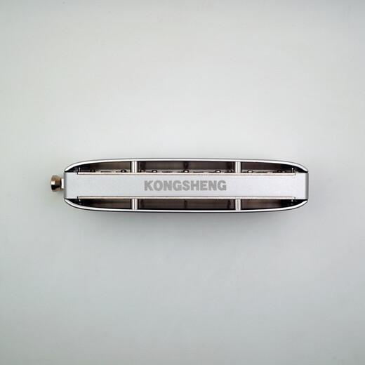 孔声天琴座半音阶口琴12孔金属琴格初学入门练习新手成人专业演奏乐器 12孔 48音半音阶C调天琴座【银色】全金属琴格