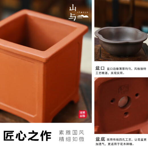 
Tangshan Yunsong is authentic Tangshan dwarf literary bamboo office is easy to raise green potted desktop bonsai with potted plants 12023 Original pot Tangshan Yunsong 5-year-old bonsai