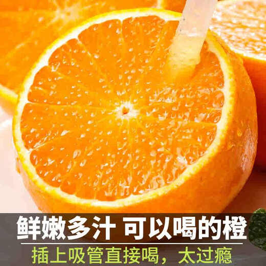 
Uncle Sam Sichuan Ehime No. 38 Jelly Orange Seasonal Fruit Citrus Rock Sugar Orange Orange Ugly Orange Gift Box New Year's Gift [Sweet-Tribute Fruit] 20-Year-Old Tree | Single Fruit 75-80mm 5Jin [Jin equals 0.5kg] Gift Box [Gift Recommendation] Net 4.5Jin [Jin equals 0.5kg]