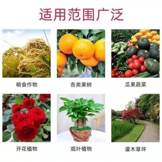 Wenshiou Potash Fertilizer Wholesale Russian Imported High Potassium High Efficiency Fertilizer General Instant Fertilizer for Agricultural Flowers, Fruit Trees and Vegetables Express 20Jin Jin is equal to 0.5kg Factory direct sales quality assurance
