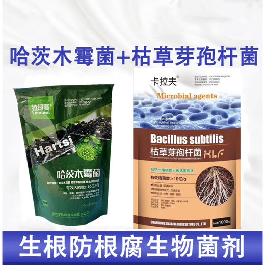 Trichoderma harzianum agent Bacillus subtilis foliar water-soluble fertilizer anti-root rot microbial agent fertilizer seedling agricultural use Trichoderma harzianum + Bacillus subtilis