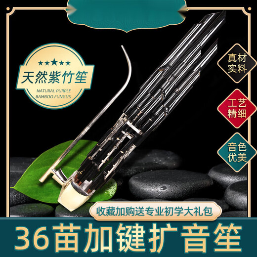Master Chen 36 Spring Sheng Musikinstrument Fang Sheng Purpur Bambus Kupfer Dou Sheng Elektroplieren schwarzer Röhrchen 36 Pipe Sheng rot und weiß Happy Journey spielen Sheng 36 Spring High Notes plus Keys