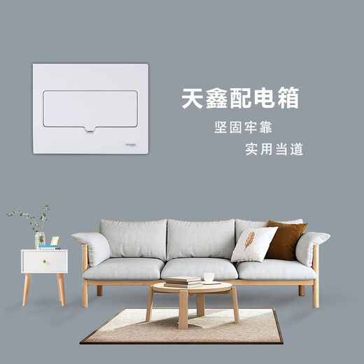 施耐德电气施耐德天鑫全金属面盖配电箱8/12/16/20位回路强电箱EA9F1X20暗装 20回路