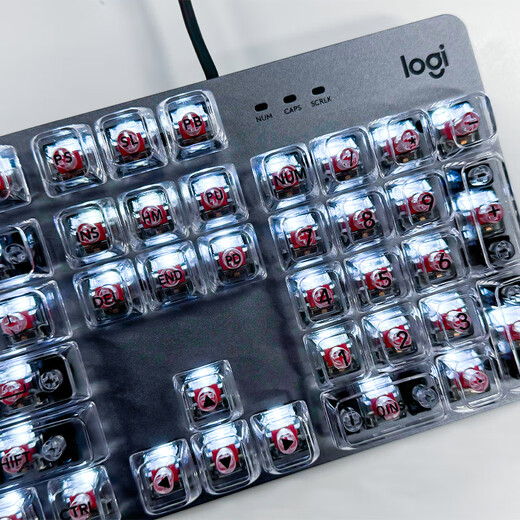 罗技（Logitech）K845机械键盘 有线键盘 游戏办公键盘电竞 青茶红轴键盘电脑笔记本背光DIY键帽 全尺寸104键 K845龙华红轴+冰块白透明键帽