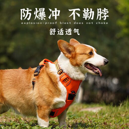 XCHO I-shaped dog harness, anti-breakaway, explosive harness, medium and large dog vest style, breathable reflective orange L code