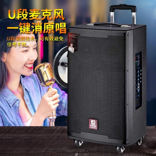 MALONE outdoor audio Bluetooth live broadcast K song square dance portable trolley speaker three-way subwoofer with sound card wireless microphone amplifier M15S-inch lithium battery + dual microphone + gift
