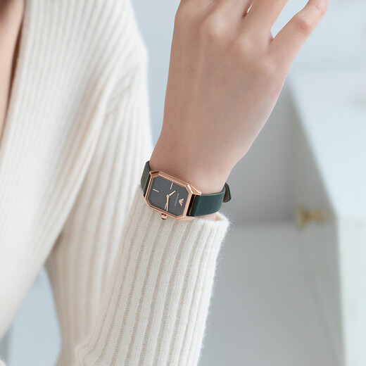 Emporio Armani watch for women small green belt retro quartz women's watch birthday gift for girlfriend AR11149