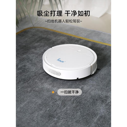 UUVZK Tapis Salon 2024 Nouvelle Maison Lumière Luxe canapé Table Basse Couverture Gris sans Lavage Essuyable Sol antidérapant 4511 300 cm * 400 cm personnalisé Non remboursable et Non remplaçable Velours de Cristal