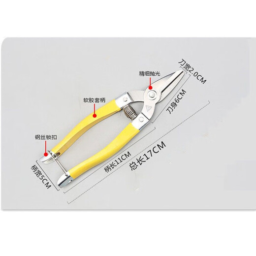 Denning stainless steel flat mouth straight head sugar orange citrus passion fruit tribute orange navel orange fruit picking scissors bud scissors 17cm